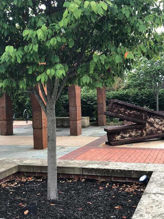 Commercial Landscaping New Albany