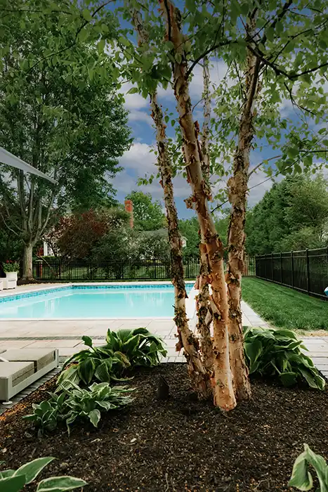 elite-aluminum-pool-fencing-new-albany-landscape Elite decorative aluminum pool safety fencing with unobstructed backyard views