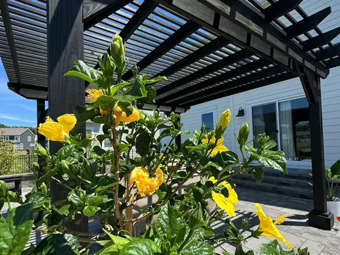 Landscaping Services