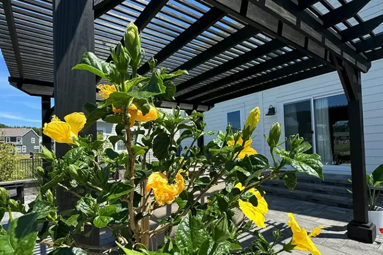 Landscaping Services