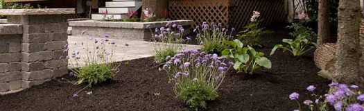 Landscape Design