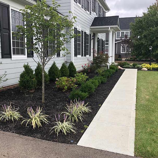 Landscaping Services New Albany