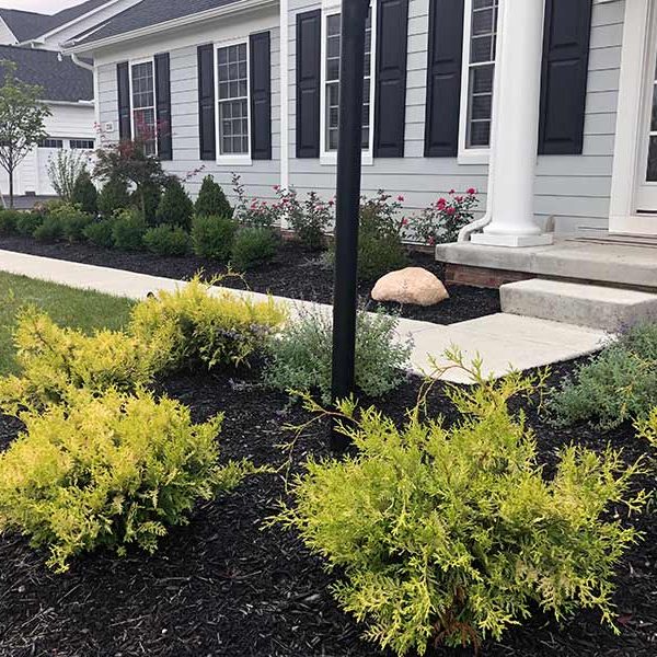 Landscaping Services New Albany