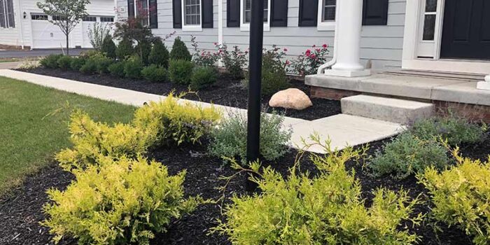 Landscaping Services New Albany