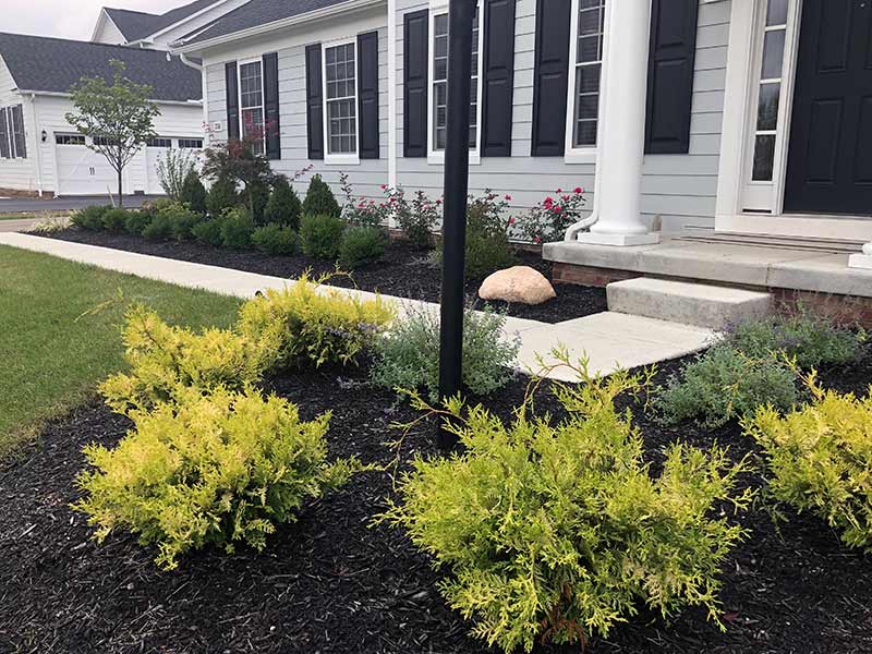 Landscaping Services New Albany