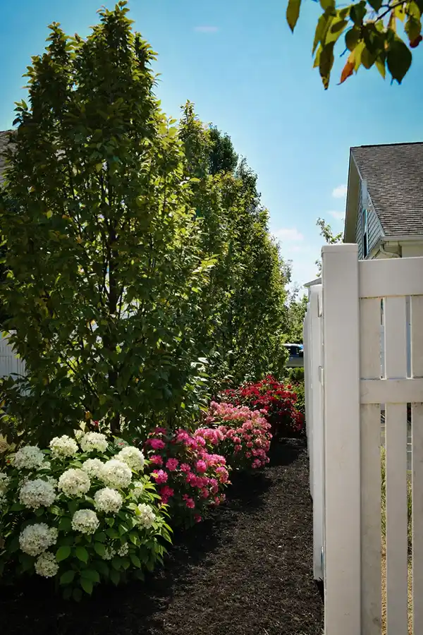 Landscaping and fencing
