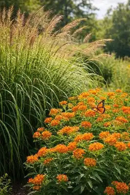 Native Plants Native Plants in Central Ohio
