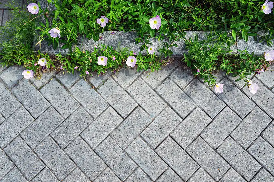 Landscape design integrating patio and planting beds in New Albany Ohio