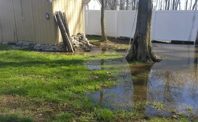 Standing water in yard discount